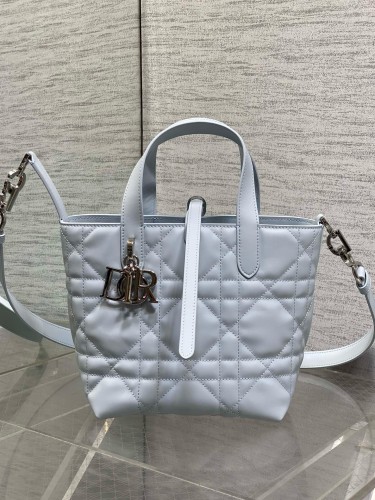 Dior High End Quality Bags-239