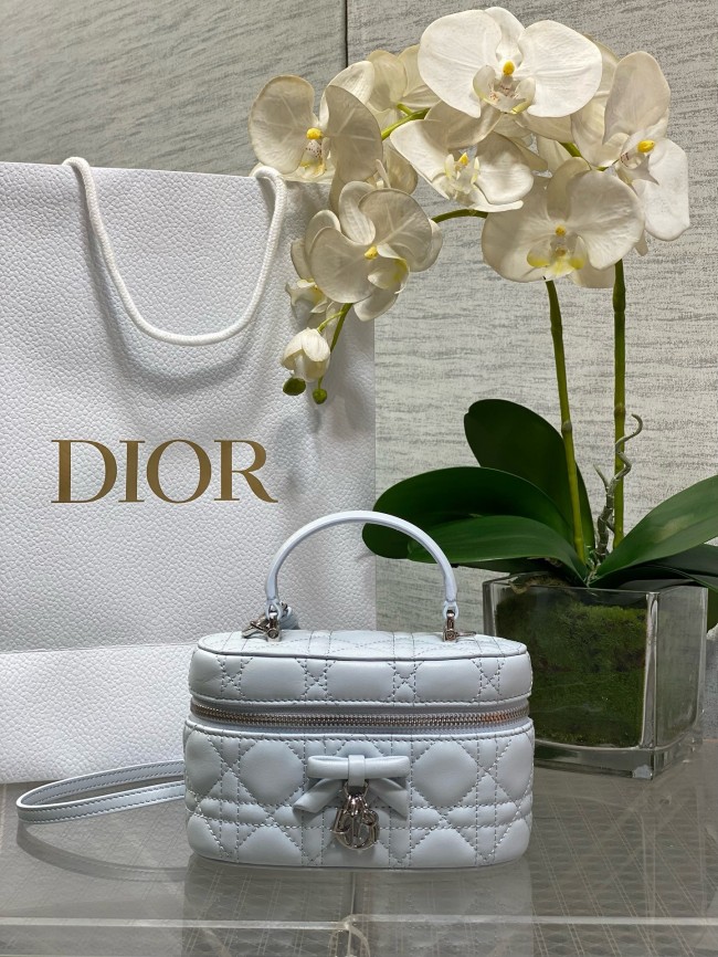 Dior High End Quality Bags-162