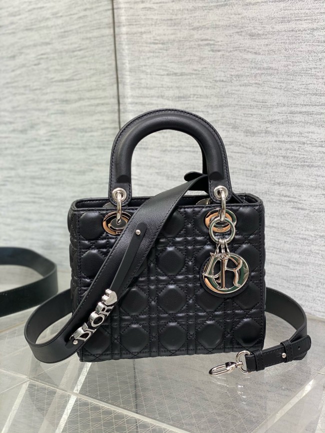 Dior High End Quality Bags-192