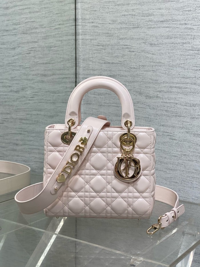 Dior High End Quality Bags-195