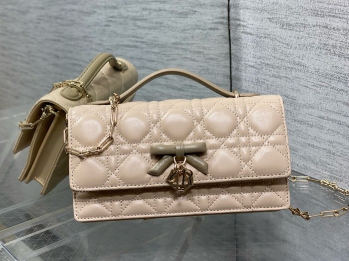 Dior High End Quality Bags-166