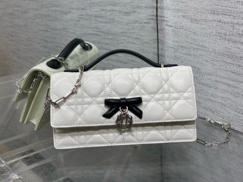 Dior High End Quality Bags-169
