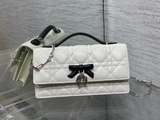 Dior High End Quality Bags-169