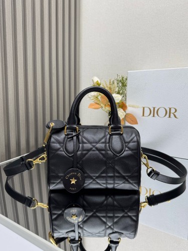 Dior High End Quality Bags-226