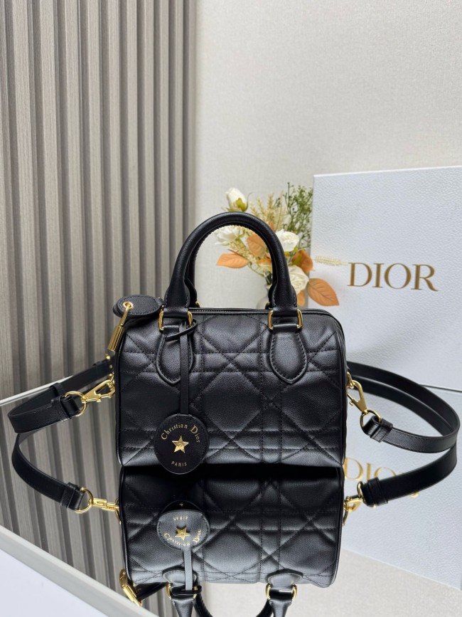 Dior High End Quality Bags-226