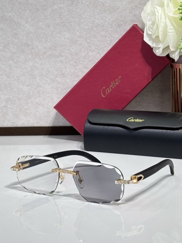 Cartier Sunglasses AAAA-14844