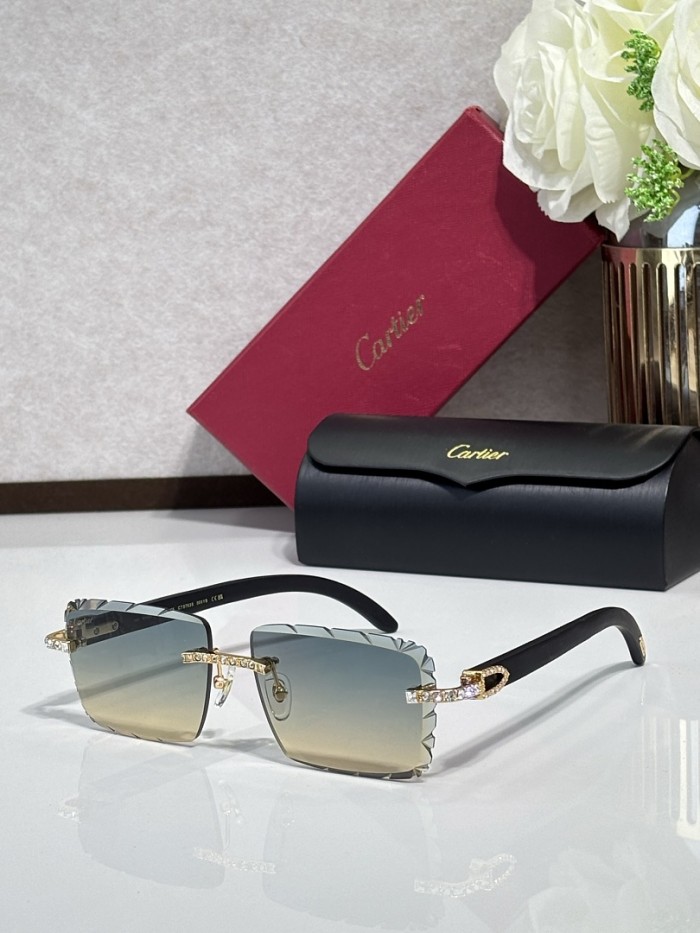Cartier Sunglasses AAAA-14680