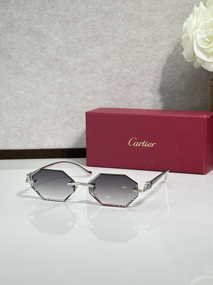 Cartier Sunglasses AAAA-14921