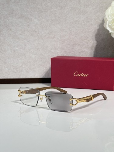 Cartier Sunglasses AAAA-14910