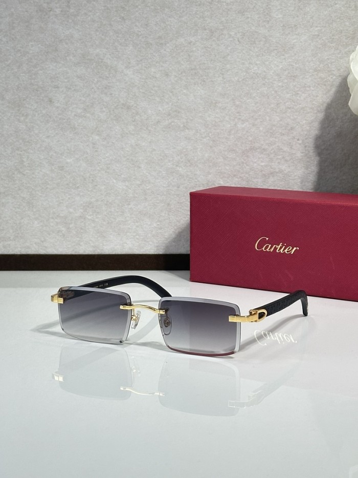 Cartier Sunglasses AAAA-14779