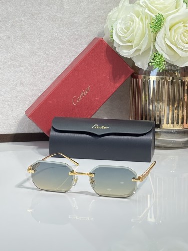 Cartier Sunglasses AAAA-14722