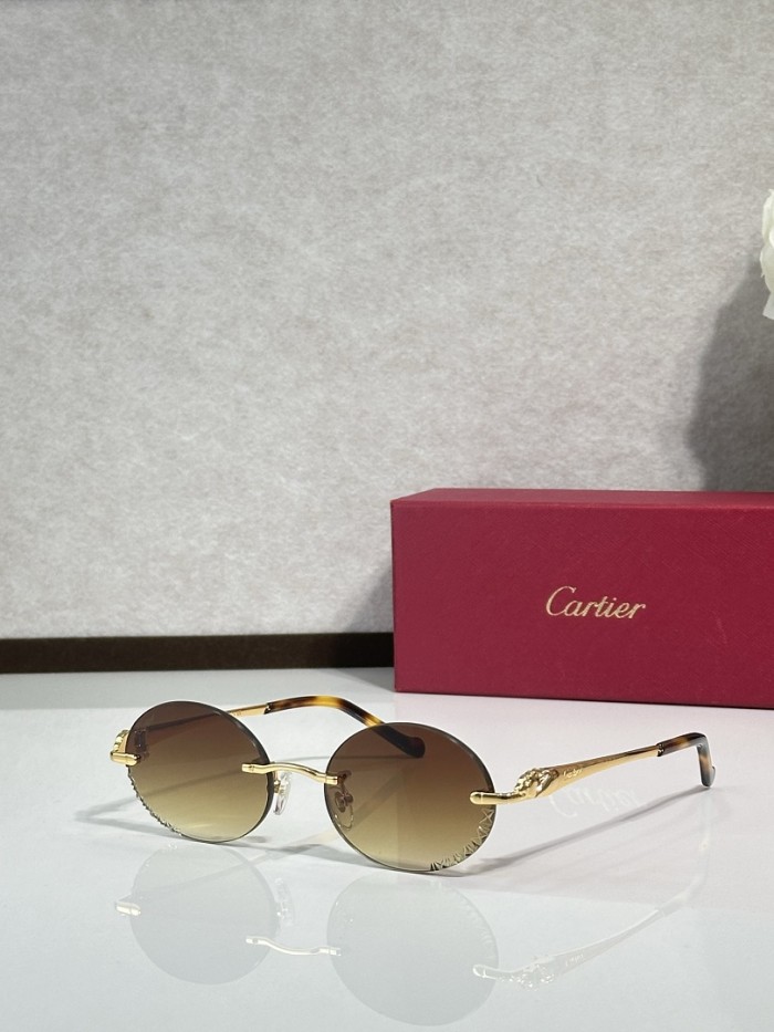 Cartier Sunglasses AAAA-14894