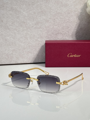 Cartier Sunglasses AAAA-14999