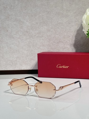 Cartier Sunglasses AAAA-14883