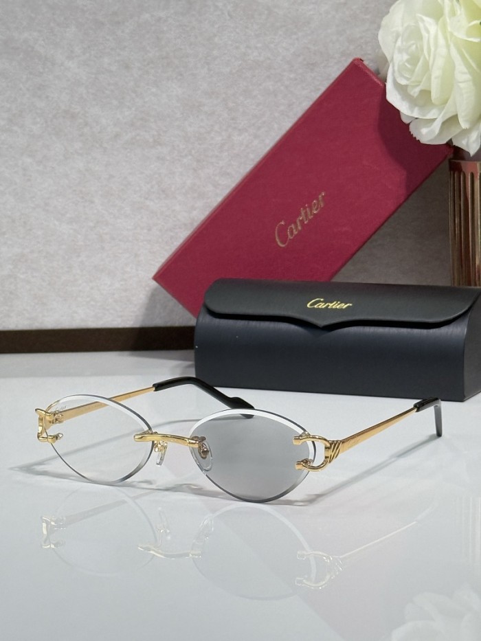 Cartier Sunglasses AAAA-14658