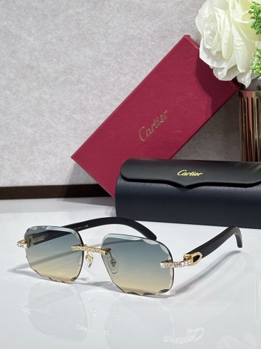 Cartier Sunglasses AAAA-14838