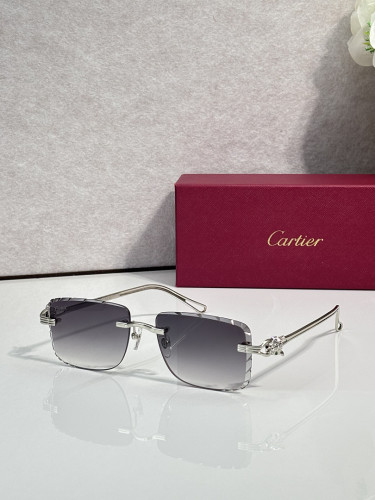 Cartier Sunglasses AAAA-14986