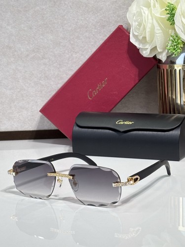 Cartier Sunglasses AAAA-14841