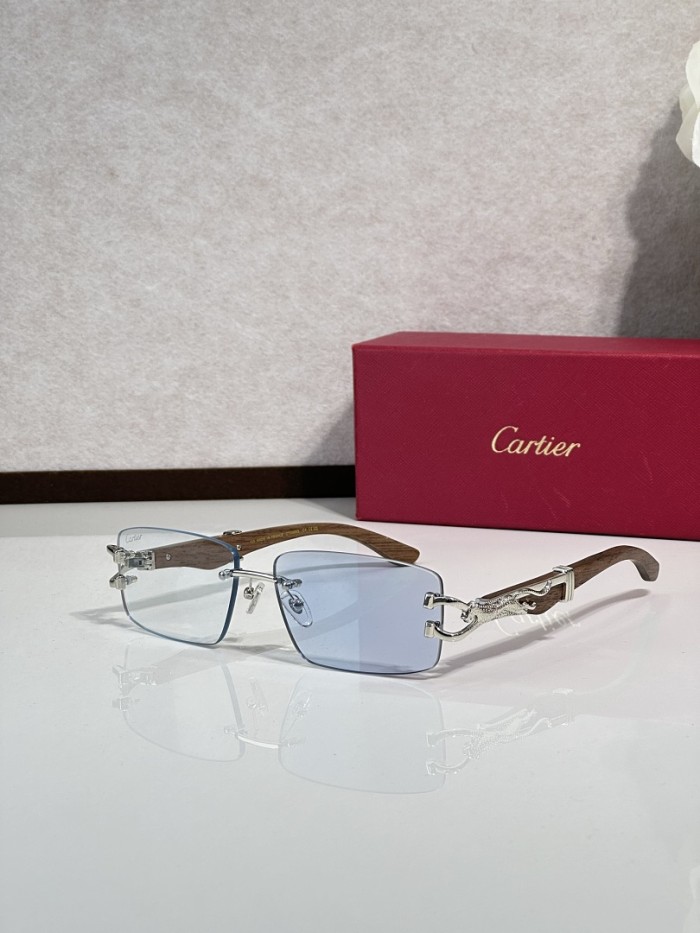 Cartier Sunglasses AAAA-14908