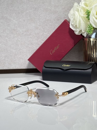 Cartier Sunglasses AAAA-14642