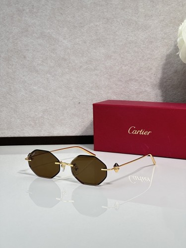 Cartier Sunglasses AAAA-14689