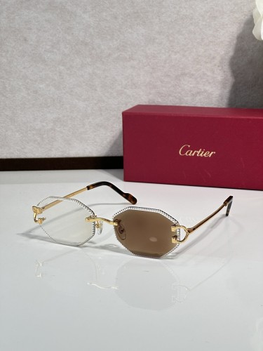 Cartier Sunglasses AAAA-14933