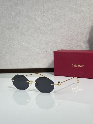 Cartier Sunglasses AAAA-14688
