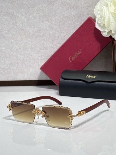 Cartier Sunglasses AAAA-14638