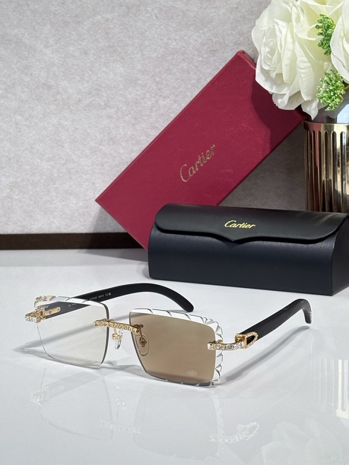 Cartier Sunglasses AAAA-14679