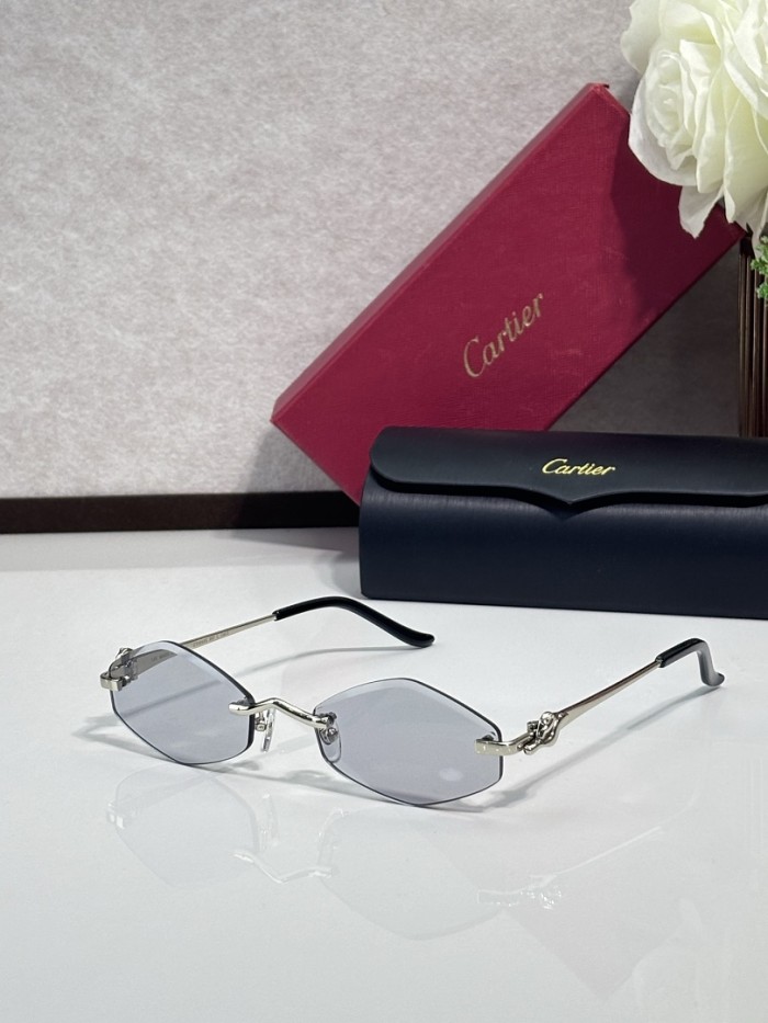 Cartier Sunglasses AAAA-14673