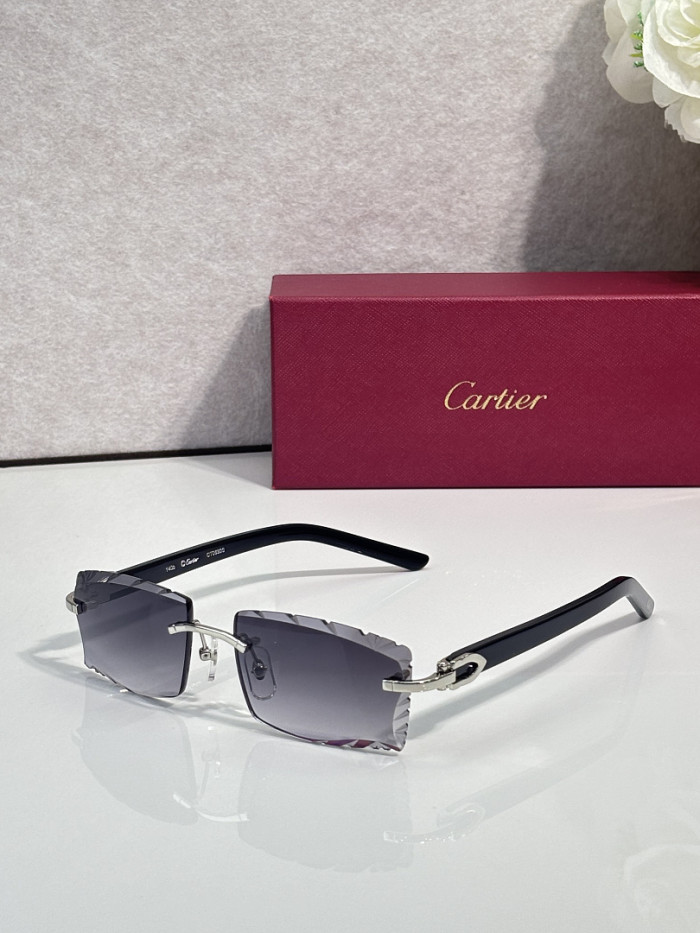 Cartier Sunglasses AAAA-14942