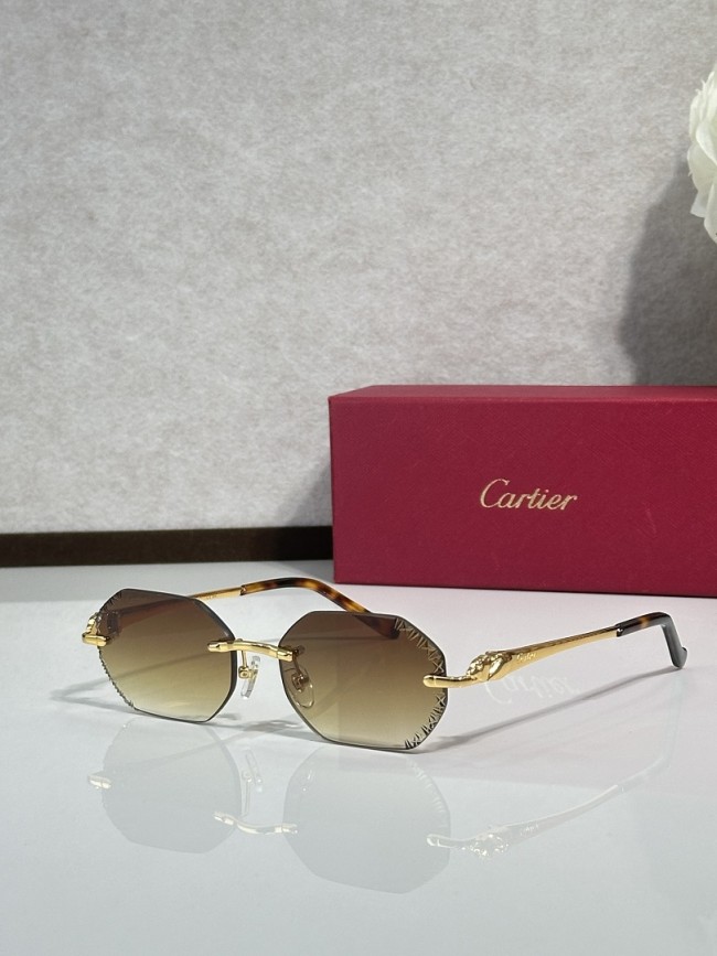 Cartier Sunglasses AAAA-14889