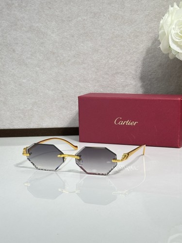 Cartier Sunglasses AAAA-14924