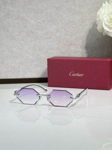 Cartier Sunglasses AAAA-14923