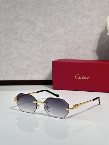 Cartier Sunglasses AAAA-14887