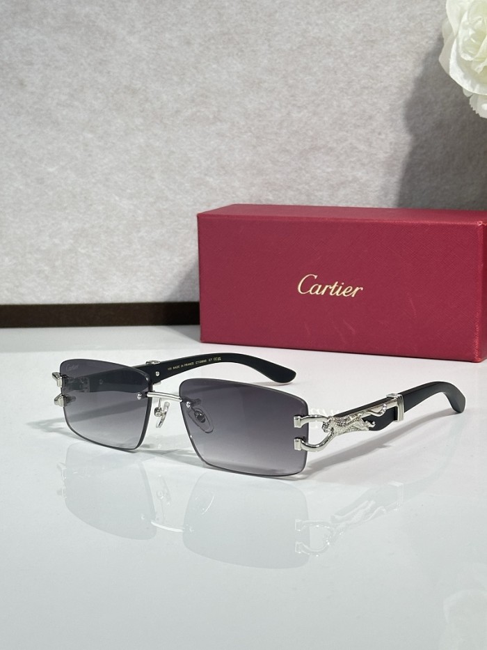 Cartier Sunglasses AAAA-14913