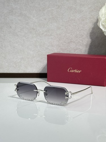 Cartier Sunglasses AAAA-14869