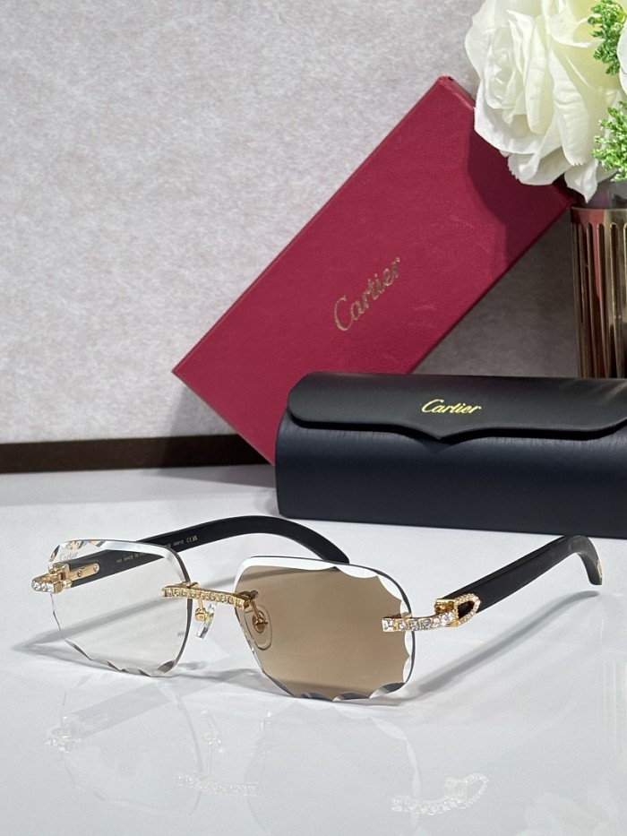 Cartier Sunglasses AAAA-14843