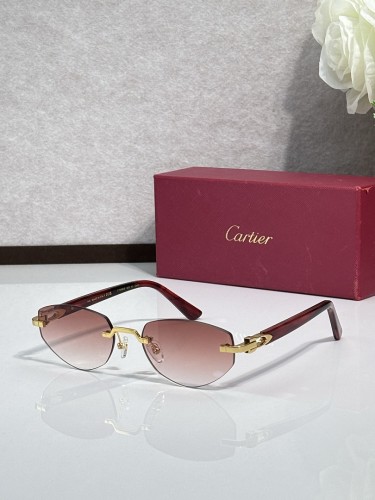 Cartier Sunglasses AAAA-16604