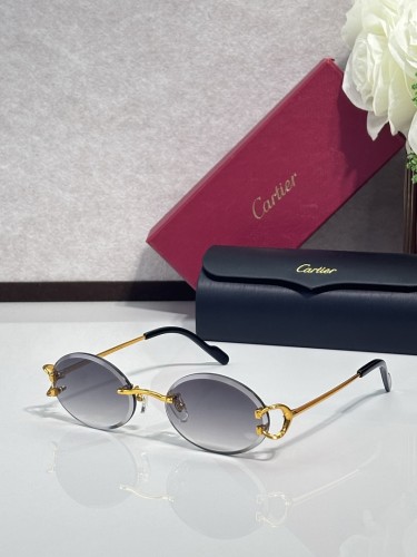 Cartier Sunglasses AAAA-16170