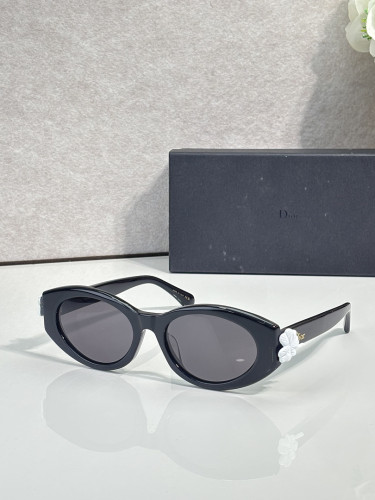 Dior Sunglasses AAAA-5124