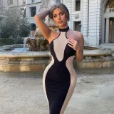 Contrast Panel Sleeveless Halter Sexy Backless Slim Dress