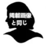 True Idols 女優楓カレン＆ Sino Doll コラボ製品 フルシリコン製ラブドール 楓カレンヘッド ボディ選択可能 組み合わせ自由