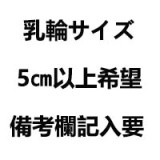 True Idols 女優楓カレン＆ Sino Doll コラボ製品 フルシリコン製ラブドール 楓カレンヘッド ボディ選択可能 組み合わせ自由