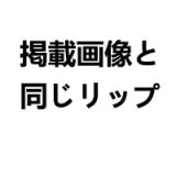 True Idols 女優楓カレン＆ Sino Doll コラボ製品 フルシリコン製ラブドール 楓カレンヘッド ボディ選択可能 組み合わせ自由