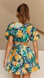 Flower Print Sweet V-neck Mini Dress