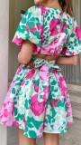 Flower Print Sweet V-neck Mini Dress