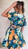 Flower Print Sweet V-neck Mini Dress