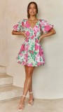 Flower Print Sweet V-neck Mini Dress