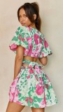 Flower Print Sweet V-neck Mini Dress